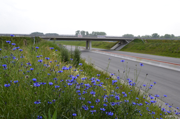 A33 Autobahnneubau Osnabrück Borgholzhausen Halle Bielefeld 47