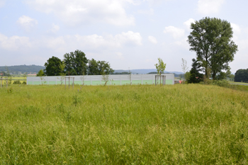 A33 Neue Autobahn Lückenschluß Osnabrück Bielefeld Grünbrücke Autobahn Umweltschutz 86