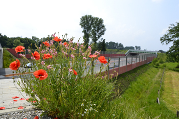 A33 Neue Bundesautobahn Grünbrücke Autobahn Umweltschutz 05