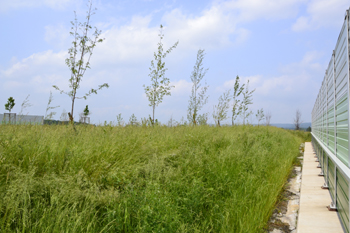 A33 Neue Bundesautobahn Grünbrücke Autobahn Umweltschutz 29