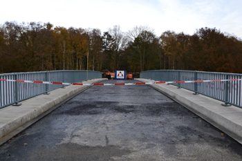 A3 Autobahn Emmerich Elten Verbundbrcke selbstfahrendes Transportgert 38 (2)