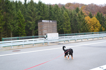 A46 Autobahn Verkehrsfreigabe Einweihung Bestwig Olsberg Nuttlar Talbrücke B480 72