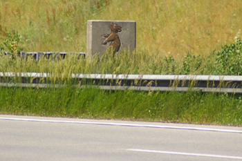 A8 Bundesautobahn Raststätte Hofoldinger Forst Berliner Bär Kilometerstein