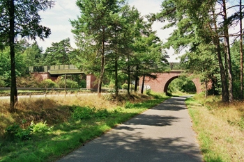 A 24 Gudow Grünbrücke 16