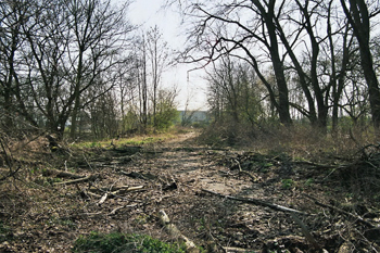 A 40 B 1 Ruhrschnellweg Hardenbergbrücke 35