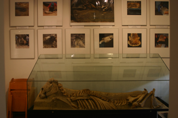 Autobahn A8 Stuttgart Leinfelden Echterdingen Flughafen 07