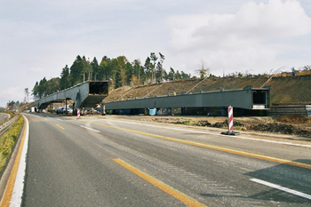 Autobahn A 1 Talbrücke Einsiedelstein 16