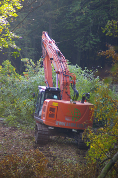 Autobahn A 43 Münster - Recklinghausen - Wuppertal sechsstreifiger Ausbau Rodungsarbeiten 11