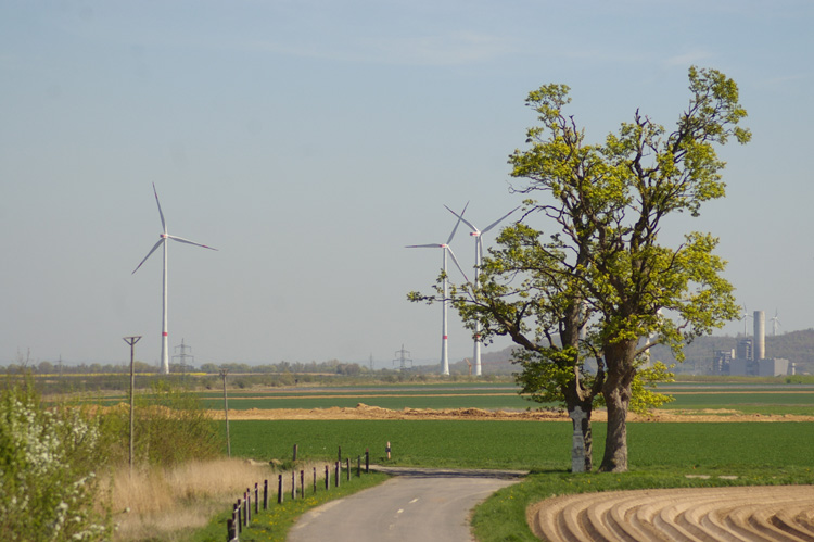 Autobahn Umweltschutz umweltfreundlich Naturschutz Tierschutz 42