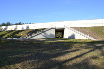 Autobahnneubau A 14 Colbitz Tangerhütte A-Bauwerk Unterführung für Fledermäuse 68
