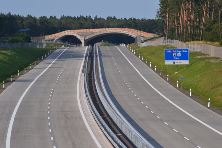 Autobahnneubau A 14 Colbitz Tangerhütte Grünbrücke 17