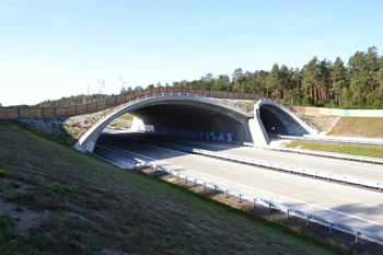 Autobahnneubau A 14 Colbitz Tangerhütte Grünbrücke Wildbrücke 65