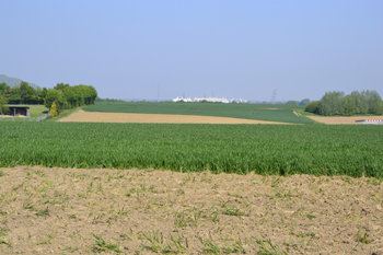 B59 Ortsumgehung Rommerskirchen Sinsteden Autobahn A 540 04