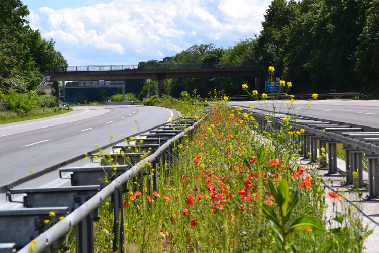 BAB A3 Vollsperrung Autobahn Fahrbahndecke Sanierung Asphalt Duisburg Kaiserberg Wedau Breitscheid Mittelstreifen