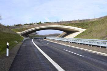 Bundesstraße B 50 neu Verkehrsfreigabe  Einweihung Wittlich Rachtig Ürzig Erden Lösnich Kraftfahrstraße Grünbrücke 35