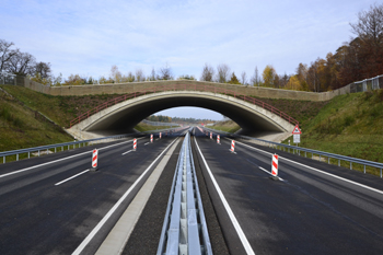 Bundesstraße B 50 neu Verkehrsfreigabe  Einweihung Zeltingen Rachtig Ürzig Lösnich Longkamp Kraftfahrstraße Grünbrücke 37