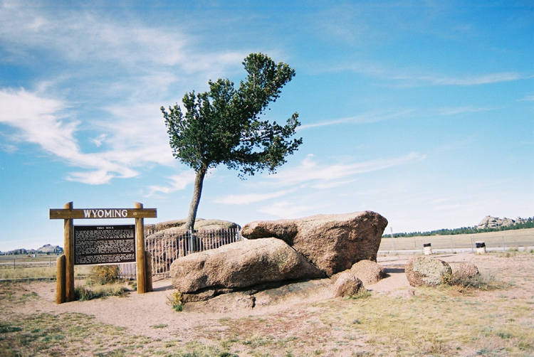 Interstate I-80 Highway USA Wyoming Tree in a Rock Parkplatz im MIttelstreifen 29