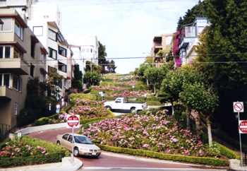 Lombard Street to descend Russian Hill San Franciso USA 151-17