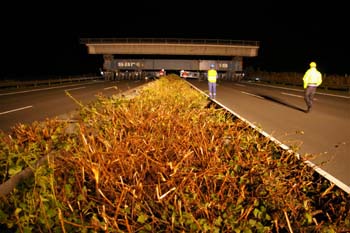 Translotion_Uberbauversetzung_Mittelstreifen_85