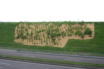 Autobahn Gisela Splett grüne Infrastruktur Biodiversität 51